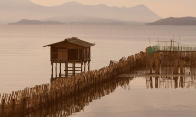 Η οικολογική κρίση του Αμβρακικού απαιτεί ελεγκτικούς μηχανισμούς και πολιτική ευθύνη
